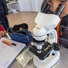 PXL_20241121_144320245.MP